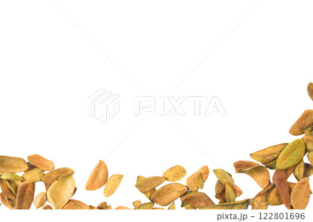 Cutout of leaf texture background with copy space and clipping paths on white background. Ideal for graphic design, card making, and nature themed creative projects. 122801696