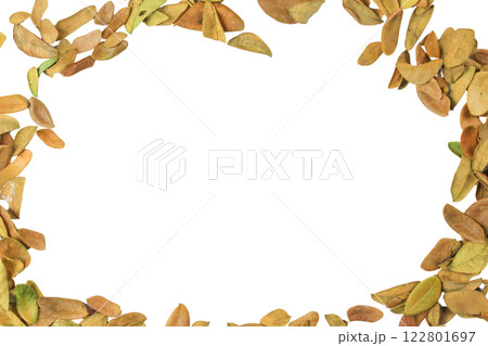 Cutout of leaf texture background with copy space and clipping paths on white background. Ideal for graphic design, card making, and nature themed creative projects. 122801697