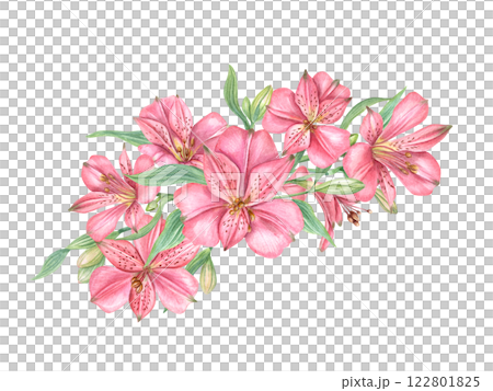 Pink alstroemeria flowers bouquet watercolor illustration isolated background. Tropical blooming plants floral composition for Valentine day greeting card, birthday invitation, package decor Pink alstroemeria flowers bouquet watercolor illustration isolated background. Tropical blooming plants floral composition for Valentine day greeting card, birthday invitation, package decor 122801825