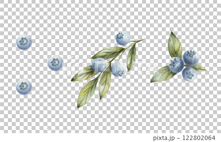Blueberry. Set of watercolor illustration with blueberries and twigs with green leaves. Hand drawn, isolated on a white background. For print, cards, textiles, kitchen, invitations. Blueberry. Set of watercolor illustration with blueberries and twigs with green leaves. Hand drawn, isolated on a white background. For print, cards, textiles, kitchen, invitations. 122802064