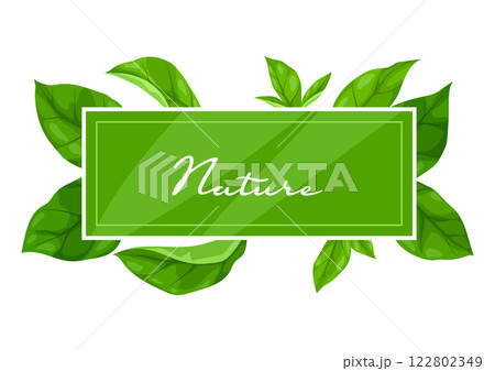 Background with leaves. Spring or summer stylized foliage. 122802349