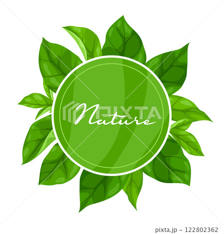 Background with leaves. Spring or summer stylized foliage. 122802362