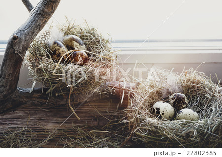 Atmospheric Easter set. Two symbolic birds nests with speckled eggs among branch and hay on windowsill. 122802385