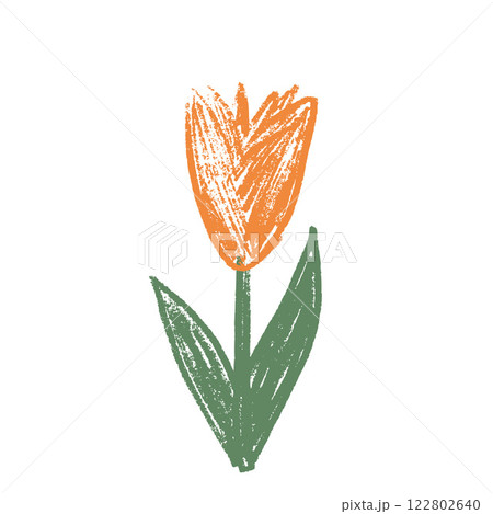 Tulip flower childish crayon drawn. Spring orange crocus doodle isolated on white background. Summer floral kids element. Chalk or pastel style scrawl nature shape. Vector naive illustration by pencil 122802640