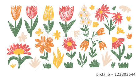 Vector Spring flowers crayon drawn set. Tulip, daisy, chamomile and marguerite plants doodle. Summer floral kids elements. Chalk style childish shape. Naive pencil illustration on white background. Vector Spring flowers crayon drawn set. Tulip, daisy, chamomile and marguerite plants doodle. Summer floral kids elements. Chalk style childish shape. Naive pencil illustration on white background. 122802644