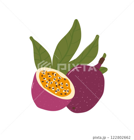 Passion fruits with leaf composition set. Vector exotic sweet food. Hand drawn flat collection illustration isolated on white background. Passion fruits with leaf composition set. Vector exotic sweet food. Hand drawn flat collection illustration isolated on white background. 122802662
