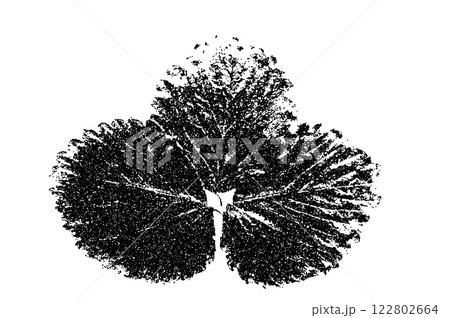 Leaf photocopy element. Collage botanical shape. Strawberry foliage stippled. Vector stippled nature illustration isolated on white background. Leaf photocopy element. Collage botanical shape. Strawberry foliage stippled. Vector stippled nature illustration isolated on white background. 122802664