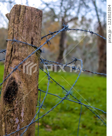 barbed wire surrounding a post barbed wire surrounding a post 122802804
