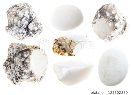 natural specimens of uncut cacholong rocks cutout natural specimens of uncut cacholong rocks cutout 122802829