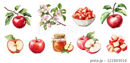 Apple set. Apple branch with leaves and blooming flowers half of the fruit glass jar jam sliced sqaures of an apple in the pile and bowl. Ripe fresh oranic sweet garden fruit. Watercolor style 122803018