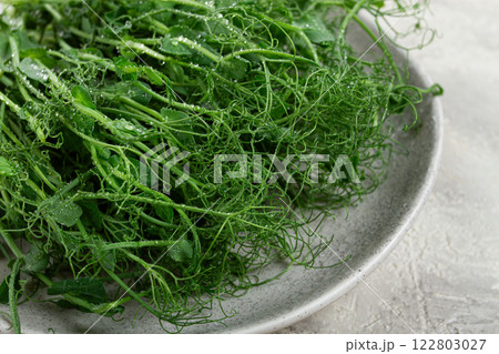 Freshly harvested pea shoots on a plate ready for cooking and garnishing dishes in a kitchen setting 122803027