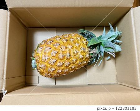 段ボール箱に入った丸ごとパイナップル 122803183