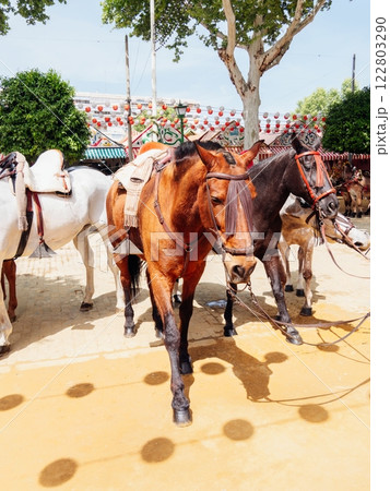 Elegant horses and riders at the vibrant Seville Fair Elegant horses and riders at the vibrant Seville Fair 122803290