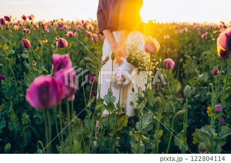 Hands of a young woman and a field of lilac poppy flowers Hands of a young woman and a field of lilac poppy flowers 122804114