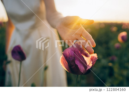 Close-up hand of a young woman touching a lilac poppy Close-up hand of a young woman touching a lilac poppy 122804160