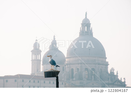 Foggy Venetian landscape features a serene seagull gracefully in the foreground Foggy Venetian landscape features a serene seagull gracefully in the foreground 122804187