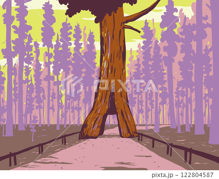 Mariposa Grove of Giant Sequoias Yosemite National Park California WPA Poster Art 122804587