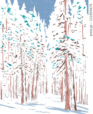 Winter Forest of Subalpine Fir and Limber Pine in Echo Lake Colorado WPA Poster Art 122804679