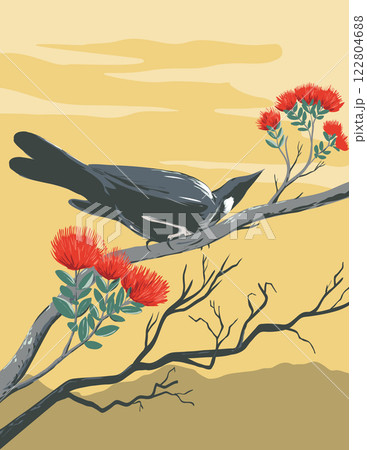 Tui Perching and Feeding on Pohutukawa Flower Tree WPA Poster Art 122804688