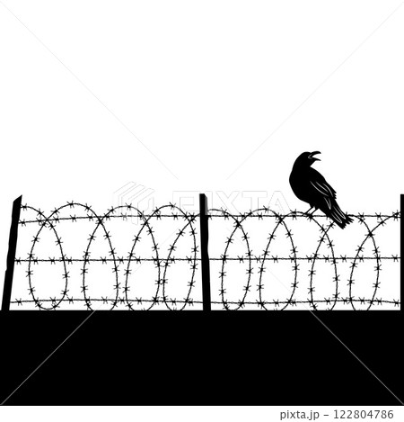 Barbed wire. crow sitting on barbed wire silhouettes. vector prison concept background Barbed wire. crow sitting on barbed wire silhouettes. vector prison concept background 122804786