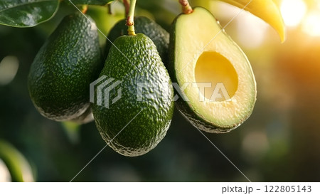Ripe avocados hanging from a tree branch, one cut open to reveal its creamy flesh, ready for harvest Ripe avocados hanging from a tree branch, one cut open to reveal its creamy flesh, ready for harvest 122805143