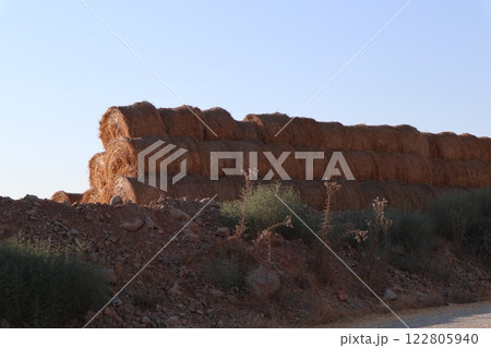 Scenic view of hay bales in a green field. Food for herbivores. 122805940