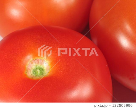 Vibrant Harvest of Cherry Tomatoes and Plum Tomatoes on the Vine 122805996