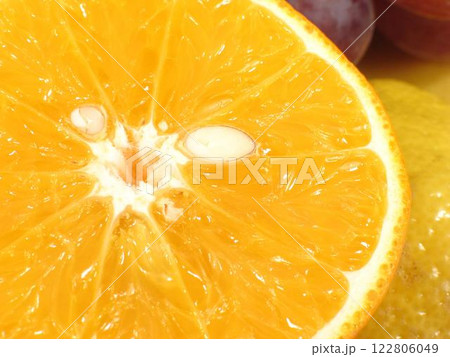 Vibrant Citrus Medley: Valencia Oranges, Clementines, and More 122806049