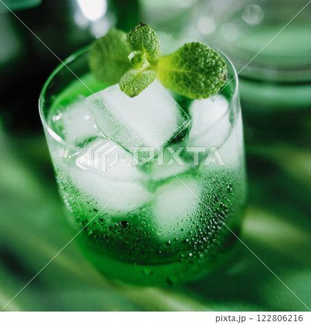 Green Spider on Leaf 122806216