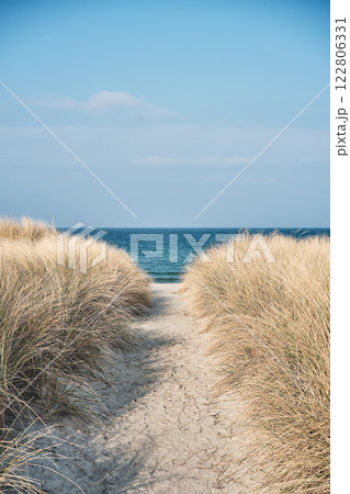 Path through the dunes at the Baltic Sea 122806331