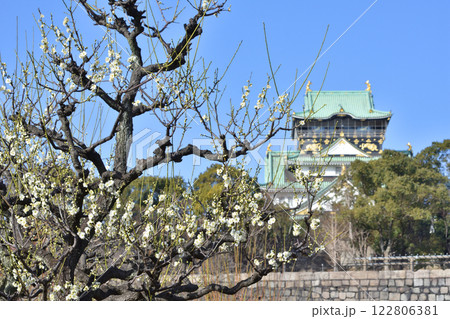 大阪城の梅 122806381