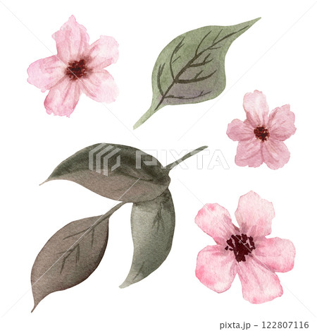 Watercolor set of pink fantasy flowers with green leaves on white background 122807116