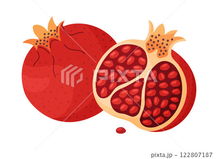 Fresh red pomegranate whole and half fruit Hand drawn flat style isolated icon 122807187