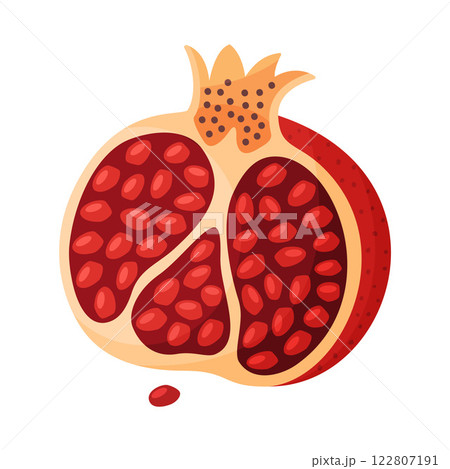 Fresh red pomegranate, half fruit Hand drawn flat style isolated icon 122807191