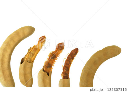 Cutout sour tamarind on white background. The variety with a sour taste comes from tartaric acid. Fresh pods are used in cooking to add sourness, mature pods are used to make tamarind paste. Cutout sour tamarind on white background. The variety with a sour taste comes from tartaric acid. Fresh pods are used in cooking to add sourness, mature pods are used to make tamarind paste. 122807516