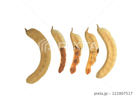 Cutout sour tamarind on white background. The variety with a sour taste comes from tartaric acid. Fresh pods are used in cooking to add sourness, mature pods are used to make tamarind paste. Cutout sour tamarind on white background. The variety with a sour taste comes from tartaric acid. Fresh pods are used in cooking to add sourness, mature pods are used to make tamarind paste. 122807517