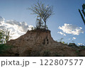 Tatacoa Desert, arid lands of the tropical dry forest in Colombia 122807577