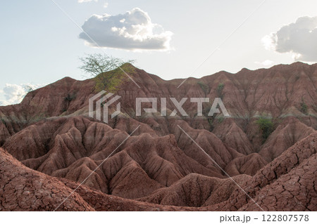 Tatacoa Desert, arid lands of the tropical dry forest in Colombia Tatacoa Desert, arid lands of the tropical dry forest in Colombia 122807578