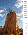 Tatacoa Desert, arid lands of the tropical dry forest in Colombia 122807605