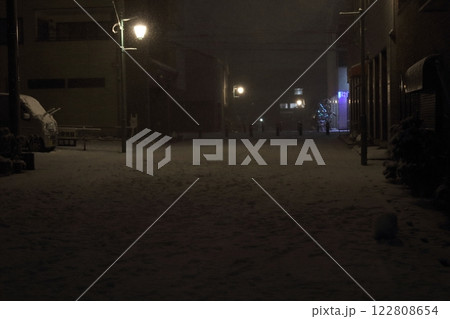 日本の冬 都会の大雪 街の風景の外灯 日本の冬 都会の大雪 街の風景の外灯 122808654