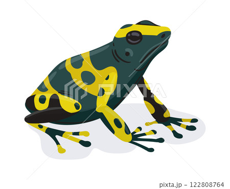 Exotic frog. Cartoon tropical rainforest amphibian animal, green exotic frog flat vector illustration. Cute frog on white background Exotic frog. Cartoon tropical rainforest amphibian animal, green exotic frog flat vector illustration. Cute frog on white background 122808764