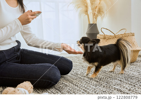 リビングで愛犬と遊ぶ女性 リビングで愛犬と遊ぶ女性 122808779