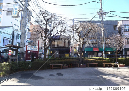 上野桜木交差点界隈(東京都台東区上野桜木2丁目) 上野桜木交差点界隈(東京都台東区上野桜木2丁目) 122809105