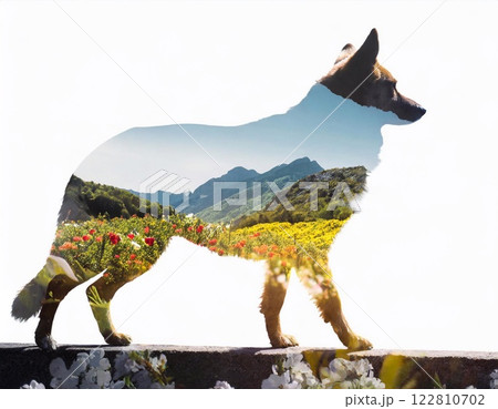 Silhouette of the dog walking on the wall double exposure Silhouette of the dog walking on the wall double exposure 122810702
