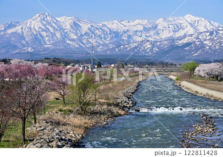はねうま橋から見た残雪の妙高山、火打山と桜並木 はねうま橋から見た残雪の妙高山、火打山と桜並木 122811428