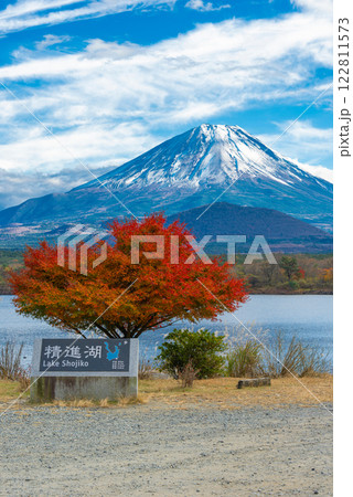 【縦写真】紅葉シーズンの富士山と精進湖 122811573