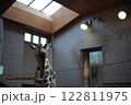 屋内にいるキリン 122811975