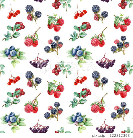 Fresh berries seamless pattern. Hand drawn blueberry, raspberry, blackberry, elderberry on white background. Different garden berries vintage style illustration bright seamless pattern design element 122812398