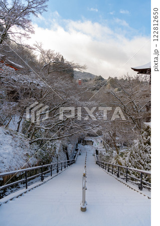 雪化粧した清水寺の階段 雪化粧した清水寺の階段 122812650