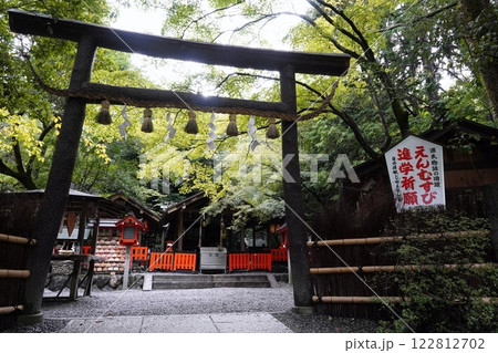 野宮神社 黒木の鳥居 野宮神社 黒木の鳥居 122812702